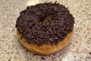 Donut with Chocolate Sprinkles